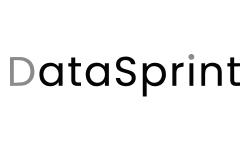 DataSprint logo